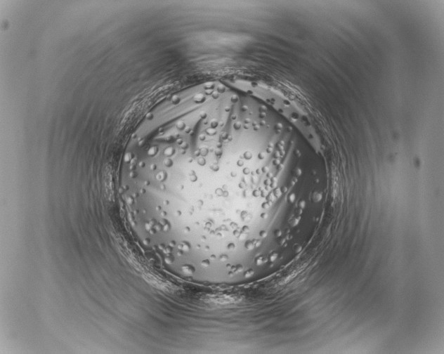 X0000052630453200507221754