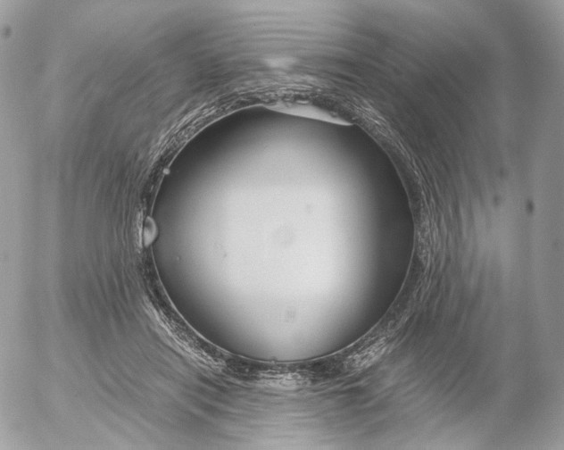 X0000052630454200507221754