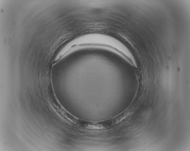 X0000052630455200507221754