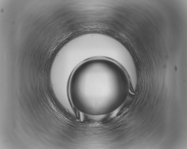 X0000052630456200507221754