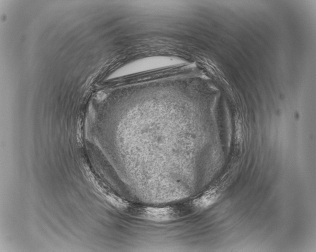 X0000052630457200507221754