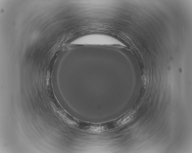 X0000052630458200507221754