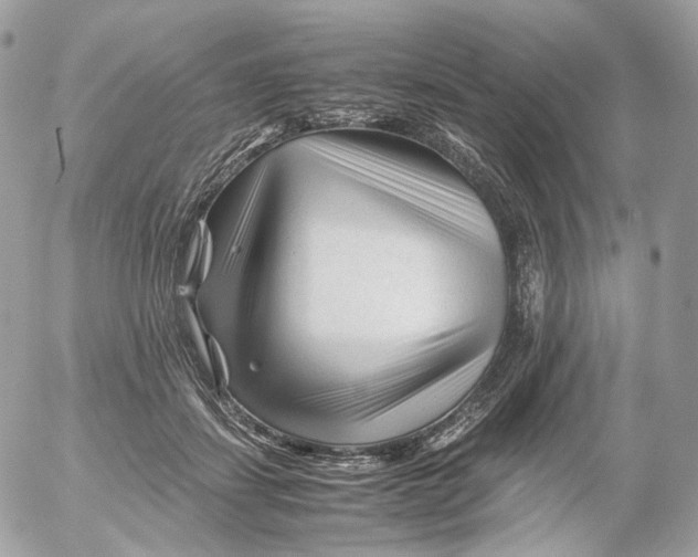 X0000052630459200507221754