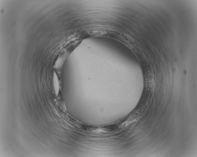 X0000052630460200507221754