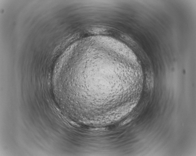 X0000052630461200507221754