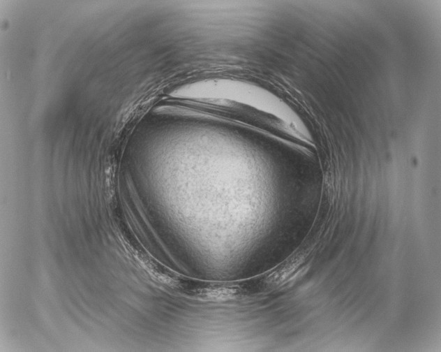 X0000052630462200507221754