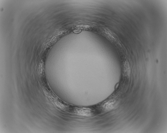 X0000052630463200507221754