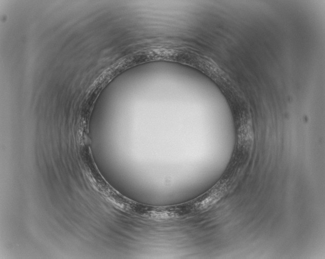 X0000052630464200507221754