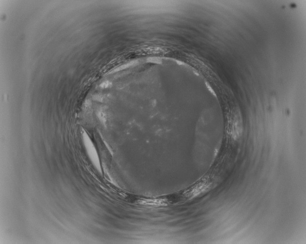 X0000052630465200507221754