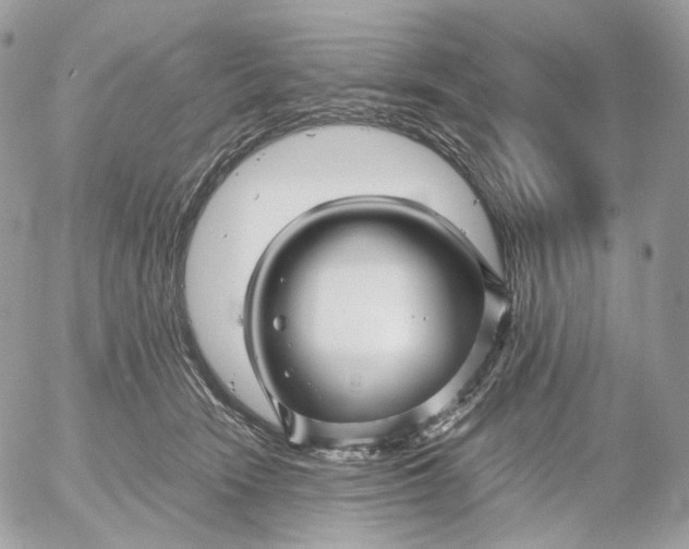 X0000052630466200507221754