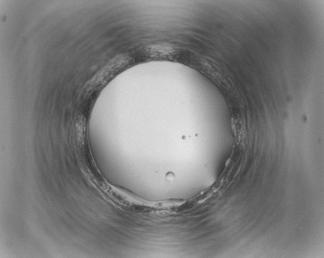 X0000052630468200507221754