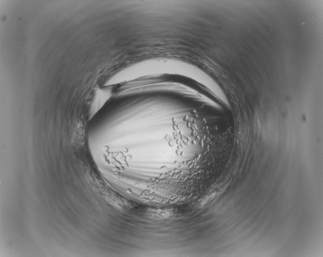 X0000052630469200507221754