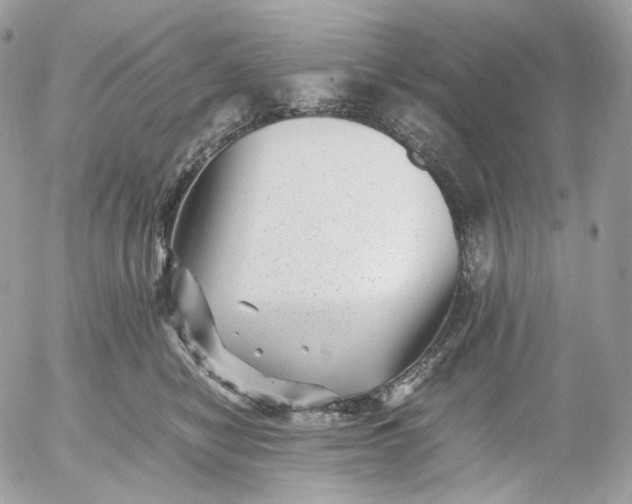 X0000052630470200507221754