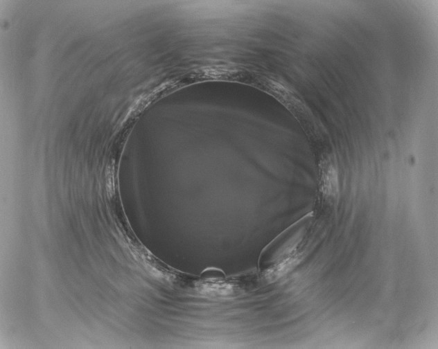 X0000052630471200507221754