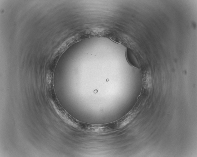 X0000052630472200507221754