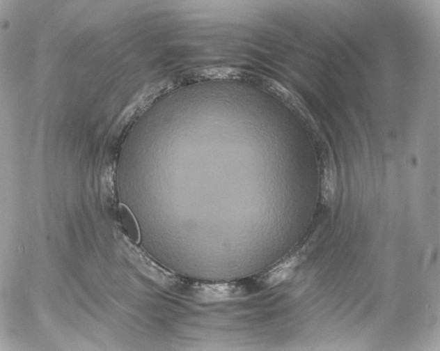 X0000052630473200507221754