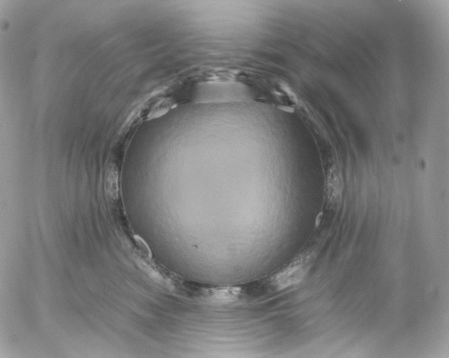 X0000052630474200507221754