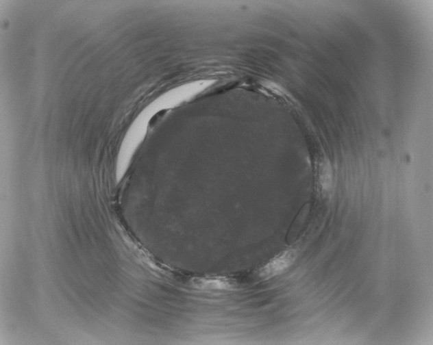 X0000052630475200507221754