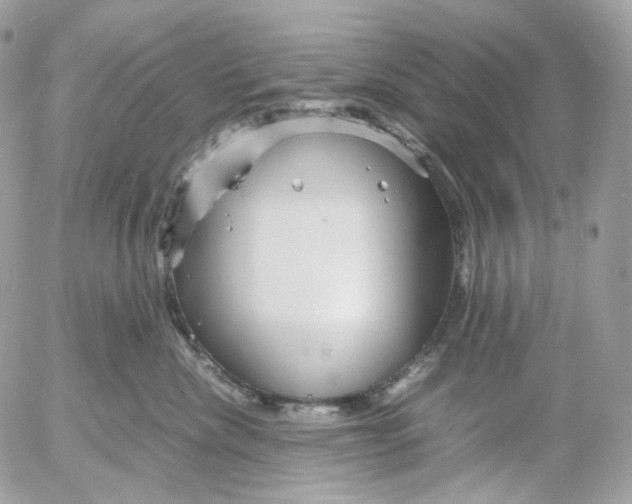 X0000052630476200507221754