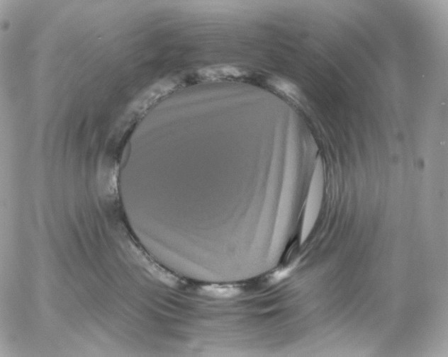 X0000052630477200507221754