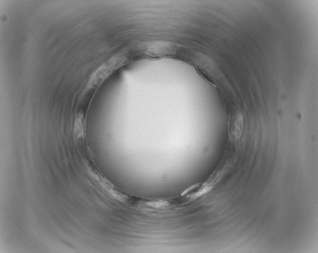 X0000052630478200507221754