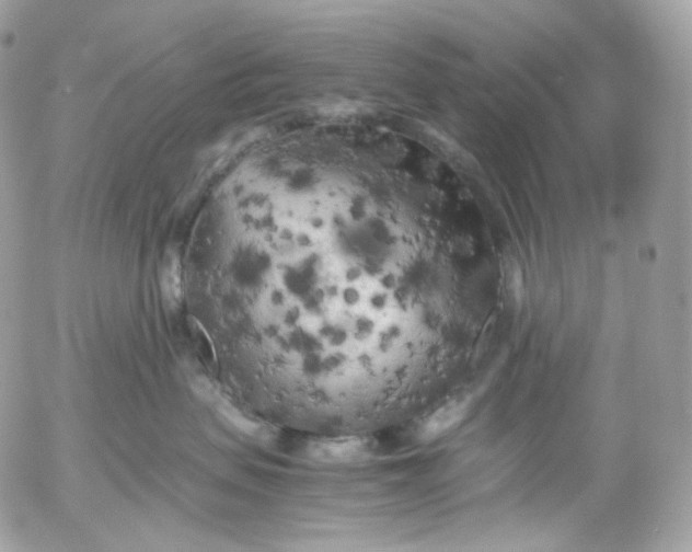 X0000052630479200507221754