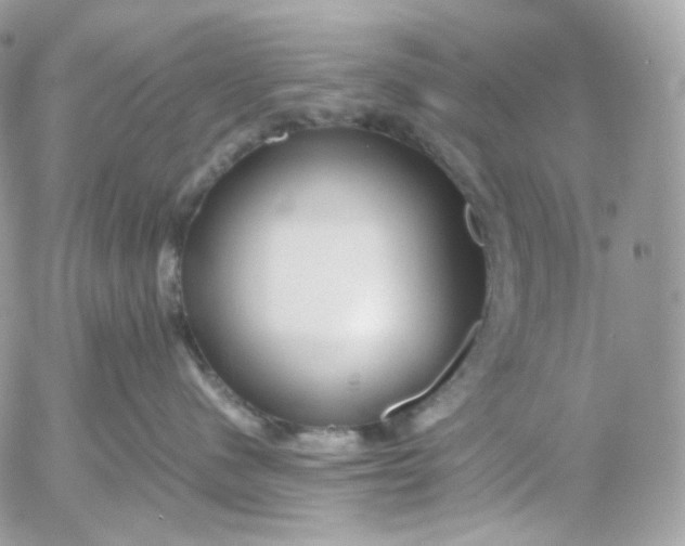 X0000052630480200507221754