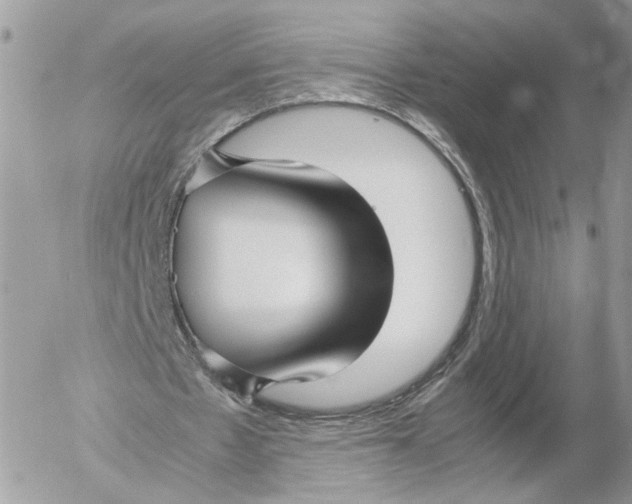 X0000052630481200507221754