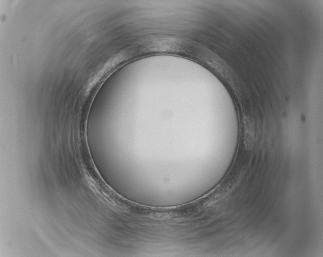 X0000052630482200507221754