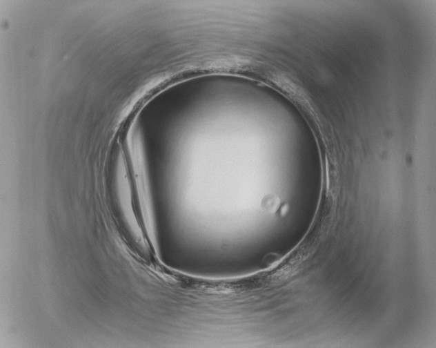 X0000052630483200507221754