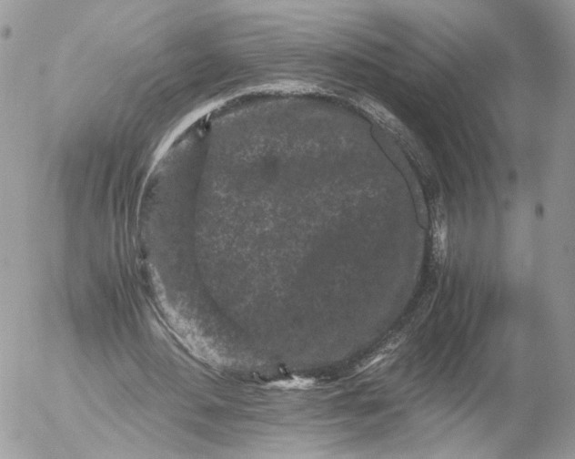 X0000052630484200507221754