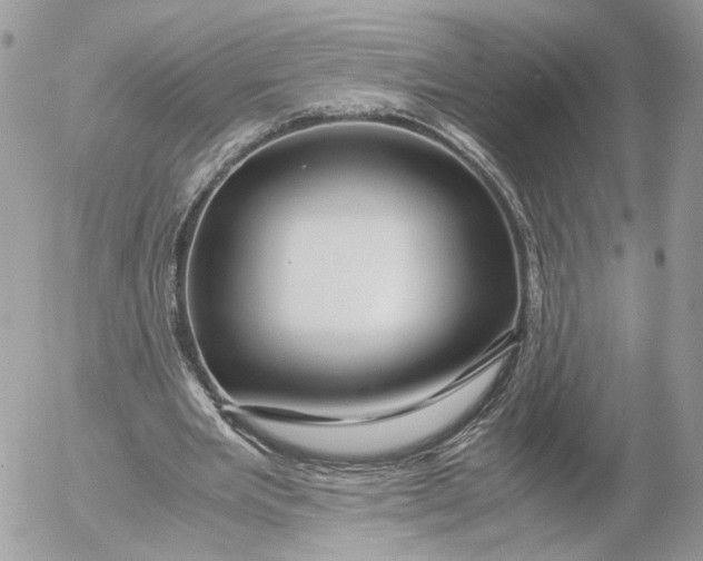 X0000052630485200507221754