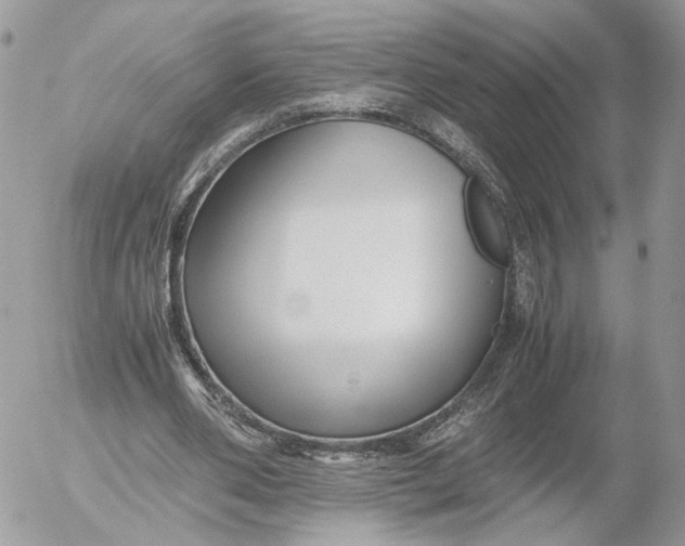 X0000052630486200507221754