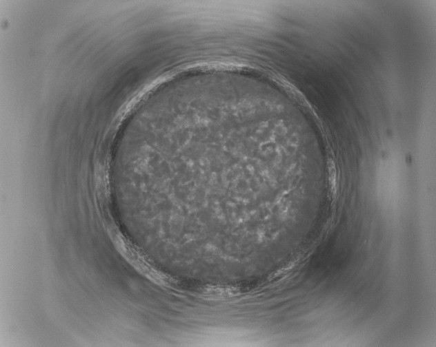 X0000052630487200507221754