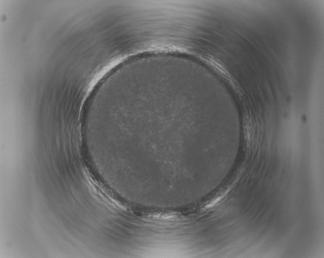 X0000052630488200507221754