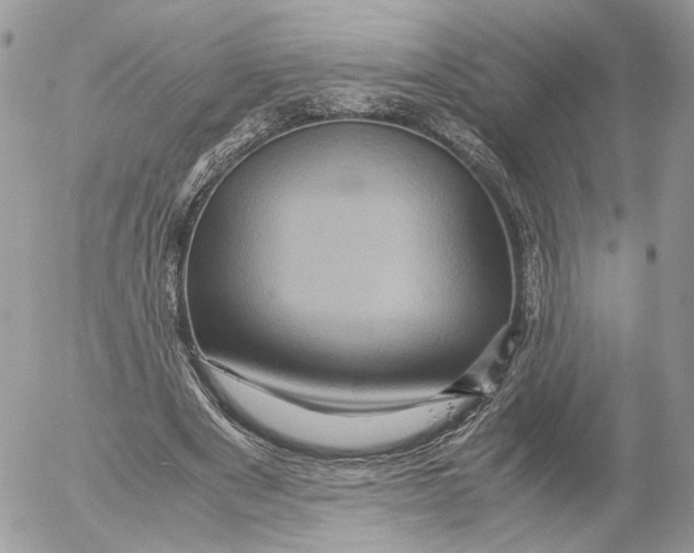 X0000052630489200507221754