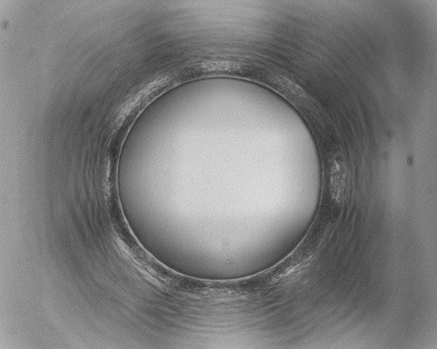 X0000052630490200507221754