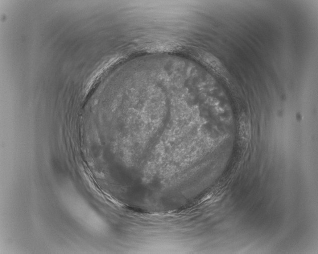 X0000052630491200507221754