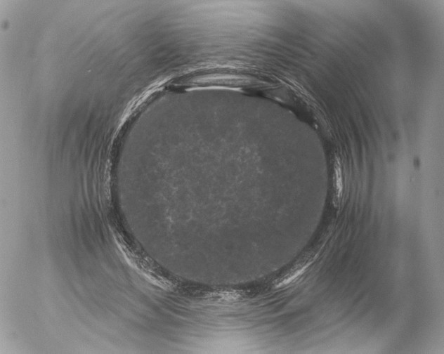 X0000052630492200507221754