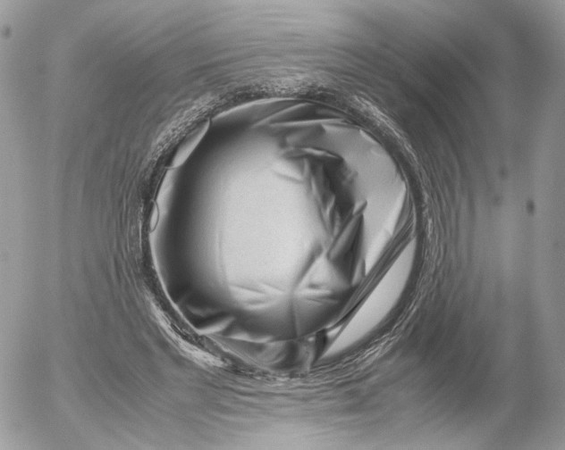 X0000052630493200507221754