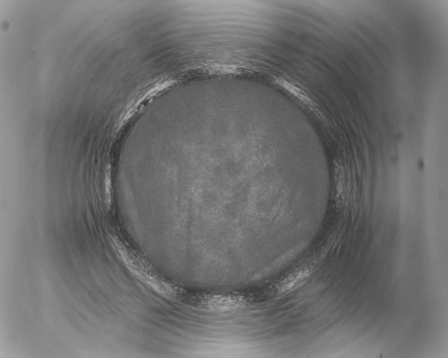 X0000052630494200507221753