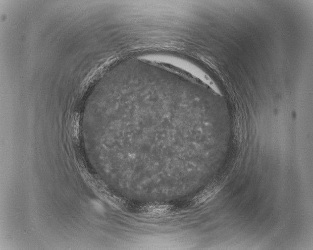 X0000052630495200507221753