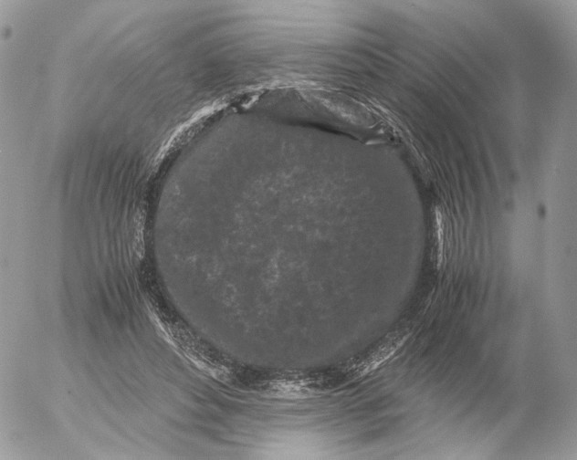 X0000052630496200507221753