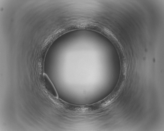 X0000052630497200507221753