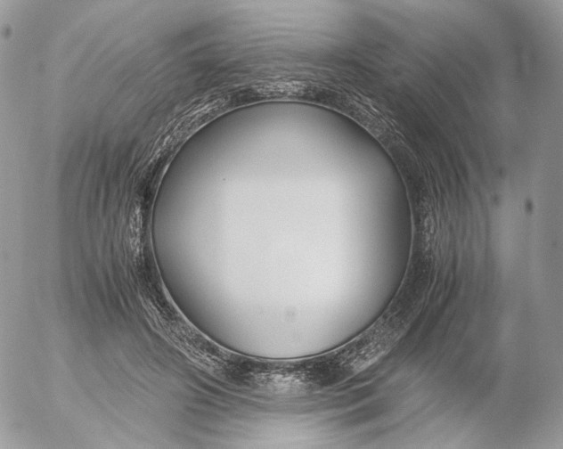 X0000052630498200507221753