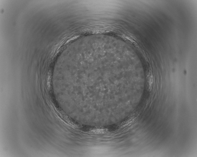 X0000052630499200507221753