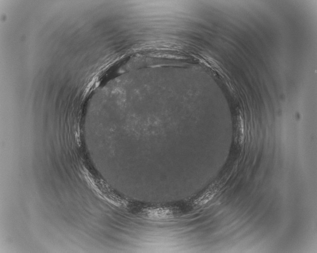 X0000052630500200507221753