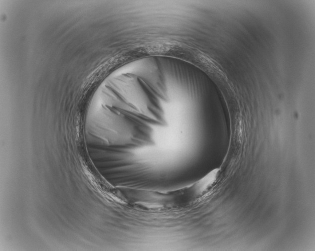 X0000052630501200507221753