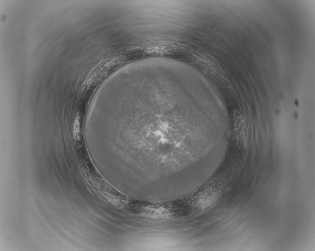 X0000052630502200507221753