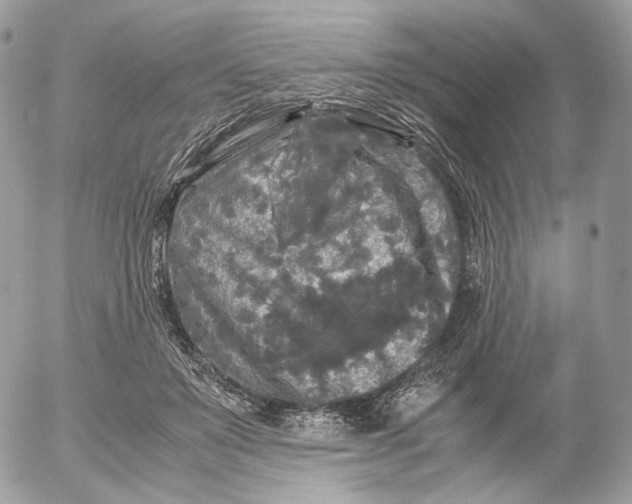 X0000052630503200507221753